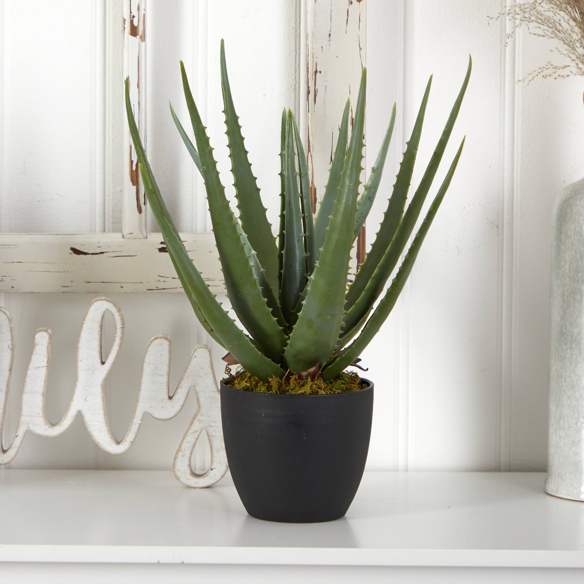 18" Potted Aloe Plant, 2ct.